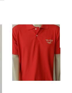 camisa polo marcas a partir